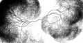 Neuron priklad2.jpg